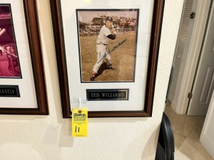 FRAMED AUTOGRAPHED PICTURE - TED WILLIAMS - 19X14