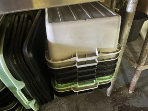 BUS PANS