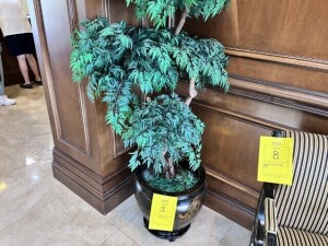 ASIAN BLACK & GOLD PLANTER ON STAND WITH 6' TALL ARTIFICIAL PLANT - 18''W