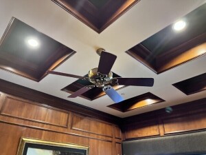 CEILING FANS