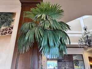 PLANTER WITH 8' TALL PALM TREE - 22'' SQUARE