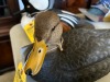 DUCK DECOY - JULES A BOUILLET - AUTHENTIC - HAND CARVED / HAND PAINTED - BLACK DUCK - 3