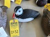 DUCK DECOY - JULES A BOUILLET - AUTHENTIC - HAND CARVED / HAND PAINTED - PUFFIN