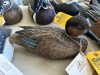 DUCK DECOY - JULES A BOUILLET - AUTHENTIC - HAND CARVED / HAND PAINTED - BLUE WINGED TEAL HEN - 2