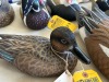 DUCK DECOY - JULES A BOUILLET - AUTHENTIC - HAND CARVED / HAND PAINTED - BLUE WINGED TEAL HEN - 3