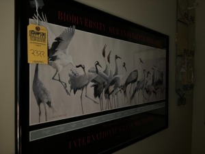 FRAMED ARTWORK - INTERNATIONAL CRANE FOUNDATION