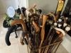 ASSORTED WALKING STICKS & CANES WITH STAND - 3