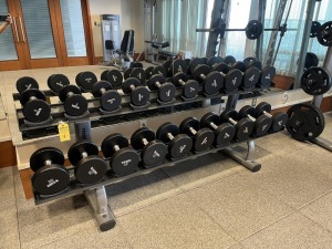 20- FREE WEIGHTS (5- 50 LBS) / 1- 2 TIER STAND