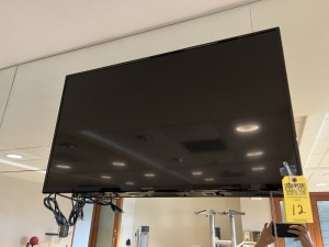 PROSCAN TELEVISION - APPROXIMATELY 42''