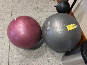 LIFE FITNESS ASSORTED SIZE STABILITY BALLS