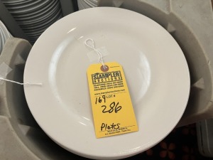 WHITE DINNER PLATES