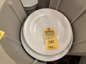 DINNER PLATES