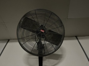 DAYTON WALL FAN - 24''