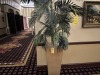 PLANTER WITH ARTIFICIAL PALM TREE - 36'' - 2