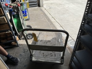 PLATFORM CART WITH COLLAPSIBLE HANDLE