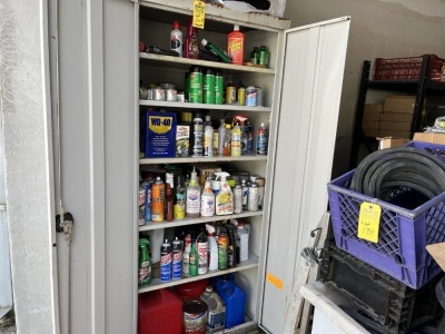 LOT STARTING FLUID, WD40, CONTACT CLEANER, ETC (CONTENTS OF CABINET)