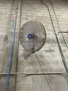 WALL MOUNT FANS