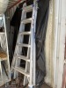 EXTENSION LADDER