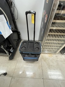 IGLOO COOLER