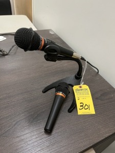 LOUDSPEAKER SYSTEM WITH 2 MICROPHONES