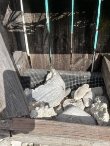 LOT SHELLS, CORAL, ETC (MIDDLE)