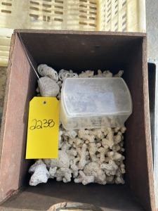 CRATE / BOX ASSORTED SHELLS, CORAL, ETC