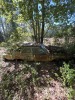 1960's DODGE 330 STATION WAGON - TAN (NO TITLE / BILL OF SALE ONLY) - 2