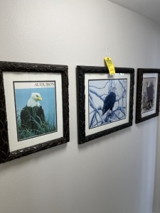 ASSORTED FRAMED & MATTED PICTURES - EAGLES