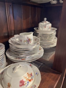 ASSORTED DINNERWARE - EAMAG / GALACIA / FLORAL - PLATES, BOWLS, SERVING PIECES, ETC