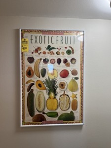 FRAMED POSTERS - FRUIT