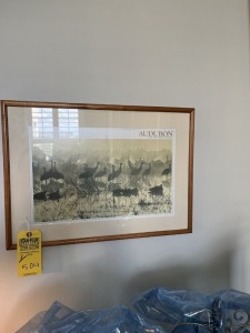 FRAMED ARTWORK - BIRDS