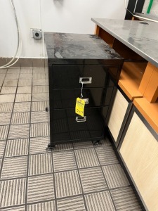FILE CABINET WITH 3 DRAWERS (LOCATED IN OKEECHOBEE, FL - #34767)
