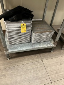 METAL TRAYS (LOCATED IN OKEECHOBEE, FL - #7007)