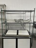 METRO RACKS - 1- GREEN WITH 4 SHELVES / 1- SILVER WITH 6 SHELVES (LOCATED IN PEMBROKE PARK, FL) - 2
