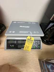 MERCURY EQUIPMENT SCALE