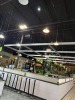 ALUMINUM LIGHT BRIDGE WITH 24 HANGING LIGHTS - 32'x32' - 3