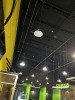 BLACK LIGHT BRIDGE WITH 24 HANGING LIGHTS - APPROXIMATELY 20'x50'