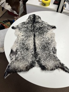ANIMAL SKINS
