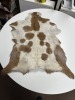 ANIMAL SKINS - 2