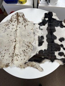 ANIMAL SKINS