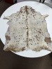 ANIMAL SKINS - 2