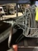 HAND SNAKE - 50' - 3