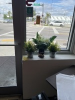 SMALL ARTIFICIAL PLANTS