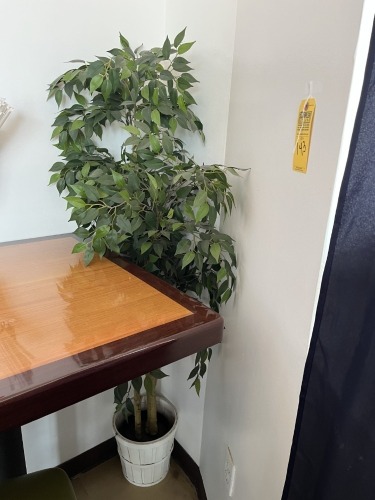 ARTIFICIAL PLANT