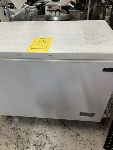 AVANTI CHEST FREEZER - 48''x24''x24''