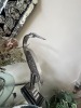 METAL BIRDS ON BASES - 3