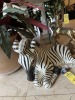 ZEBRA LAYING DOWN - 2