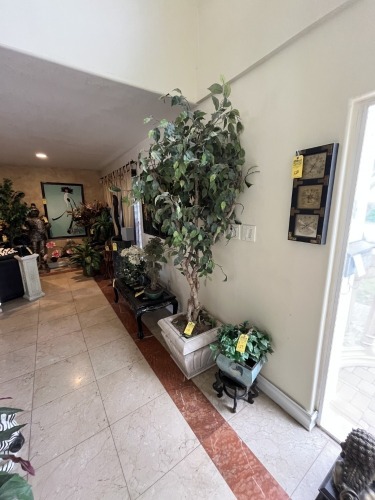 POT WITH ARTIFICIAL BONSAI TREE - 7'