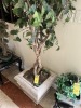 POT WITH ARTIFICIAL BONSAI TREE - 7' - 2