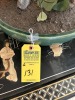 CERAMIC POTS WITH ARTIFICIAL PLANTS - 1- BONSAI - 3